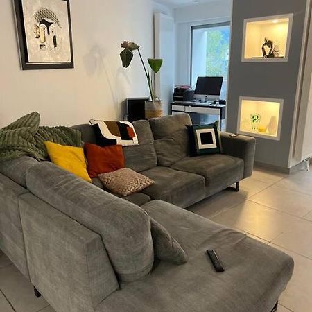 Appartement 110M2 Аннемас Экстерьер фото